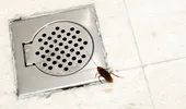 Ce trebuie să faci să nu-ți mai vină gândaci prin scurgerea de la cadă sau duș. Trucuri ieftine care te scapă definitiv de problema gândacilor în baie