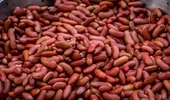 Pate de fasole roșie cu gust desăvârșit. Ingredientul care face diferența