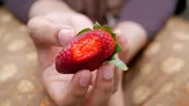 Când pot deveni mortale cele mai căutate fructe din timpul verii. Ce nu vezi când muști din acestea