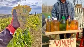 Un român a cumpărat 15 sticle de vin de țară, de la Valea Călugărească până la Focșani, și a făcut un experiment