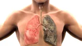 La cât timp după ce te lași de fumat se curăță plămânii de tutun