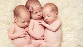 Cum se nasc tripleţii!  VIDEO LIVE