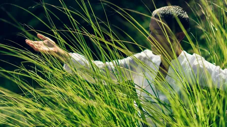 Cum să atragi banii? 6 principii pentru a aduce abundența în viața ta