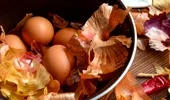Ouă vopsite de Paști, cu sfeclă roșie, varză, turmeric și foi de ceapă. Fără vopsea chimică!