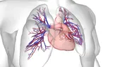 Hipertensiunea arterială pulmonară: o boală rară, complexă și deseori neînțeleasă