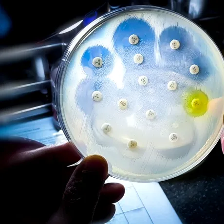 O bacterie veche de 5.000 de ani a fost descoperită într-o peșteră din România. Cum a reușit să supraviețuiască?