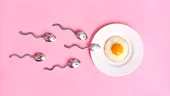 Care sunt semnele ovulației?