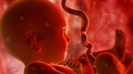 Tratament pentru fertilitate: ovule create din celule stem