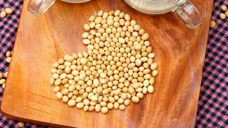 TOP 10 alimente bogate în estrogen