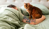 Este sănătos să dormi cu animalul de companie în pat? Ce beneficii și riscuri există