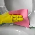 Cât de des trebuie să cureți capacul de la toaletă și când e nevoie să-l schimbi