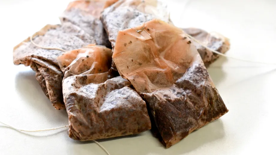 Nu arunca plicurile de ceai folosite! 12 întrebuințări surprinzătoare care îți vor ușura viața