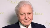 Alimentul la care David Attenborough a renunțat aproape complet pentru longevitate. Legenda BBC a împlinit 100 de ani