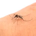 Virusul West Nile face ravagii în Europa. 13 morți în Italia și cazuri confirmate în România