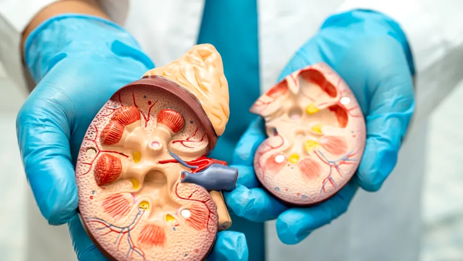 Apa pe care mulți români o beau zilnic poate crește riscul unor forme de cancer. Avertismentul unui medic urolog