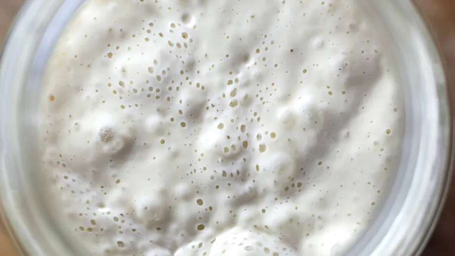 Alimentele care conțin bacterii vii scad colesterolul rău (LDL). Ce să mănânci să-ți iasă analizele bune și să ai o inimă sănătoasă