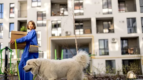 Modificări MARI pentru persoanele care nu locuiesc la adresa din buletin. Ce se întâmplă începând cu iunie 2025