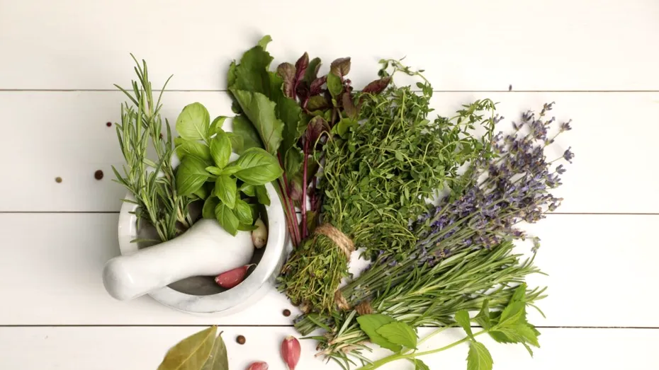 Ierburi care curăță plămânii și calmează tusea. Remedii naturale eficiente