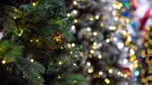 Când să ții luminițele din pomul de Crăciun pornite să nu îți umfle factura la curent