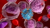 Cercetătorii au reușit să transforme o singură celulă stem în milioane de „ucigași” de cancer, reducând masiv costurile tratamentelor