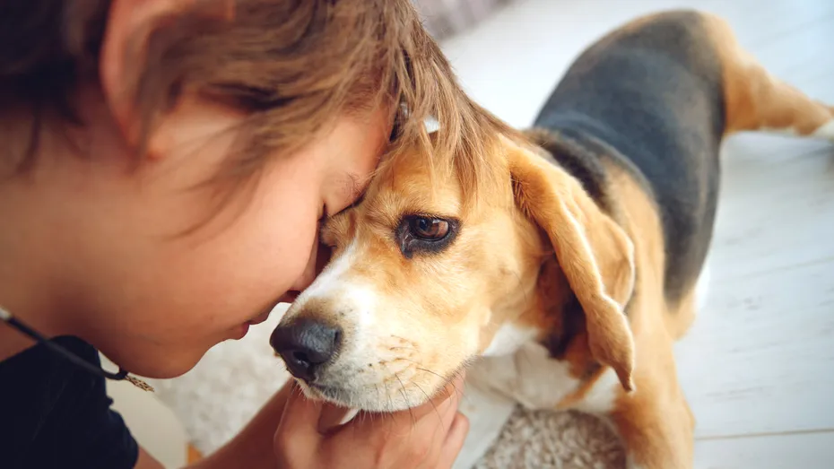 Rase de câini pentru copii. 8 căței potriviți pentru familiile cu copii mici