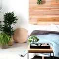 Planta care îți aduce ghinion dacă o ții în casă. Evită să iei această floare