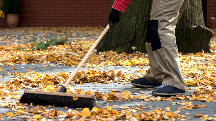 Ce amendă riști dacă nu păstrezi curățenia în fața casei