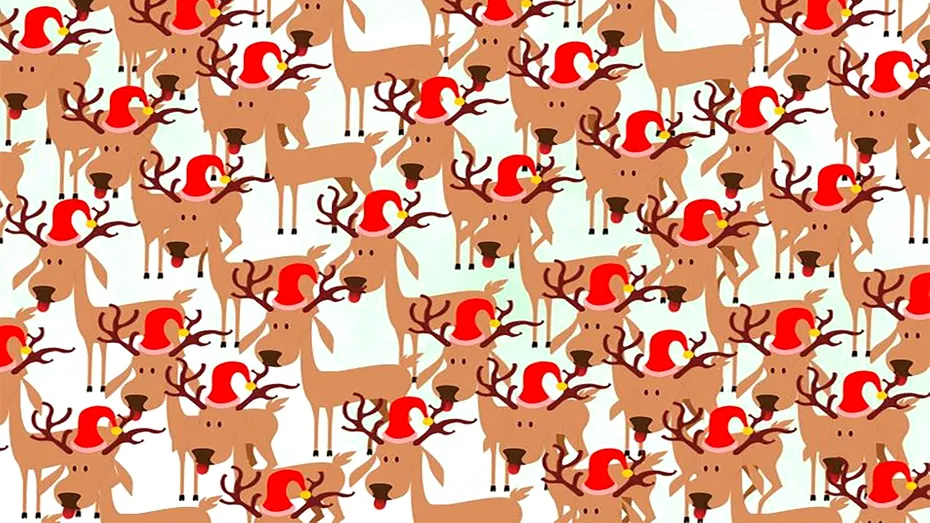 Test de logică de Ajun | Care dintre renii lui Moș Crăciun e diferit de ceilalți?