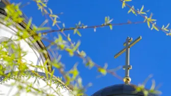 De ce se pun ramuri verzi la porți de Sfântul Gheorghe? Se spune că aduc noroc și protecție