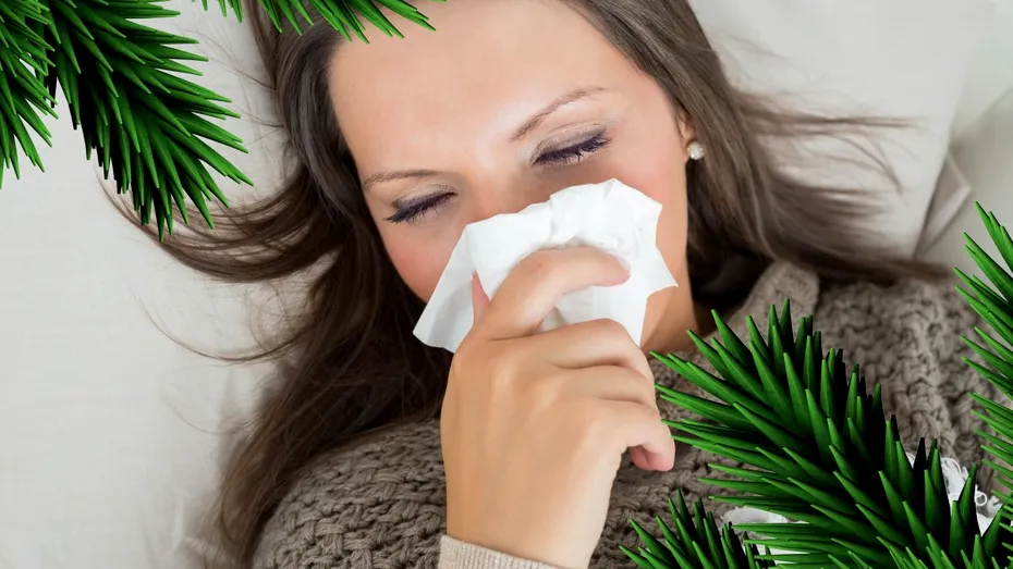 Alergia la bradul de Crăciun - simptome, cauze, soluții