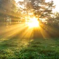 Cum va fi vremea în toamna lui 2025, în România. Meteorologii EaseWeather au emis prognoza