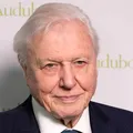 Alimentul la care David Attenborough a renunțat aproape complet pentru longevitate. Legenda BBC a împlinit 100 de ani
