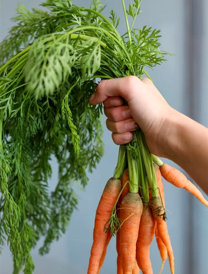 https%3A%2F%2Fwww.csid.ro%2Fwp content%2Fuploads%2F2026%2F03%2Fmorcovi