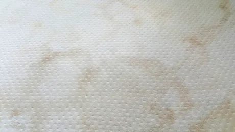 Cum scoți petele galbene și vechi de pe saltea cu spumă de ras