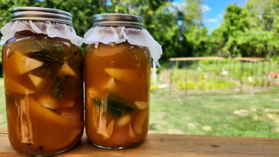 „Poțiunea” care promite imunitate de fier și protecție împotriva răcelilor. Ce conține rețeta clasică