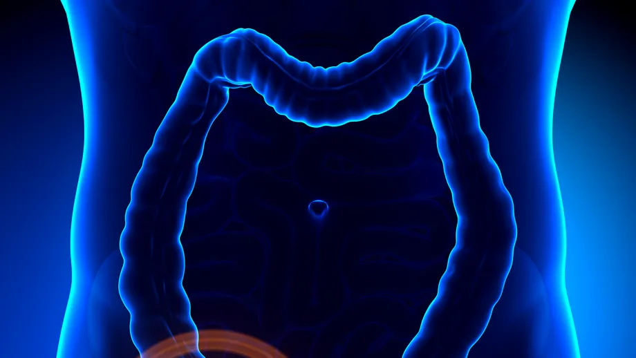 5 funcţii esenţiale ale apendicelui