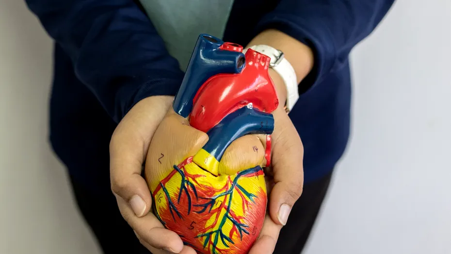(P) Atenție la afecțiunile care pot apărea la nivelul sistemului cardiovascular