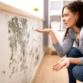 Expunerea la mucegai: riscurile pentru sănătate și cum te protejezi