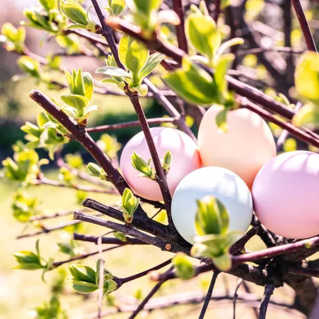 Vremea de Paște. Meteorologii vin cu vești bune pentru Paștele Ortodox