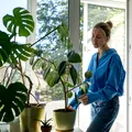 5 plante de apartament pe care nu ar trebui să le scoți pe balcon. Se pot ofili sau chiar arde