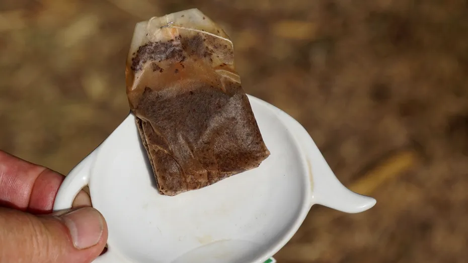 Nu arunca plicurile de ceai! Trucul eco care îți îmbunătățește solul din grădină