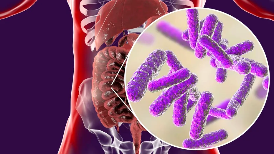 Ce se întâmplă dacă mănânci multe dulciuri când iei antibiotice. Cum are de suferit, de fapt, microbiomul