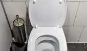De ce să pui oțet alb în WC. Sfaturi practice pentru curățarea rapidă a vasului de toaletă