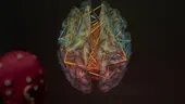 Creierul este superputerea ta! Cum ne reîntoarcem la originea cognitivă pentru a ne maximiza potențialul?