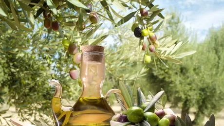 Mirosul uleiului de măsline, ingredientul-cheie pentru o siluetă fină