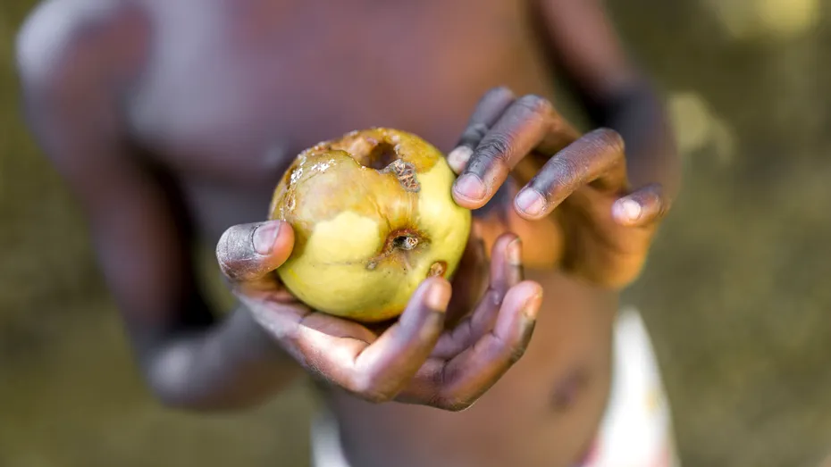 Criza alimentară globală lovește în cei mai oropsiți. 12 țări unde foametea face cele mai multe victime