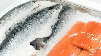 Cât timp se poate păstra peștele congelat, înainte să se strice?