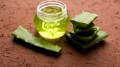 8 beneficii surprinzătoare ale utilizării plantei de aloe vera