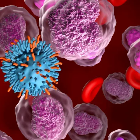 Cercetătorii au reușit să transforme o singură celulă stem în milioane de „ucigași” de cancer, reducând masiv costurile tratamentelor