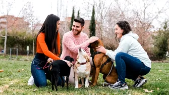 Atenție, proprietari de câini! Leptospiroza poate fi fatală. Cum se transmite și ce simptome să urmărești